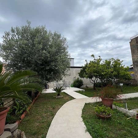 Cycas Villa Cellole Exterior photo